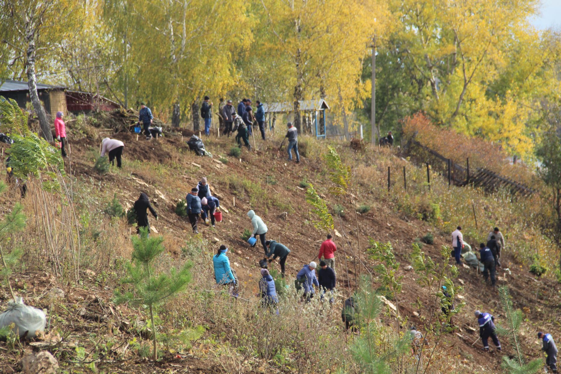 Мамадышцы присоединились к акции «День посадки леса»