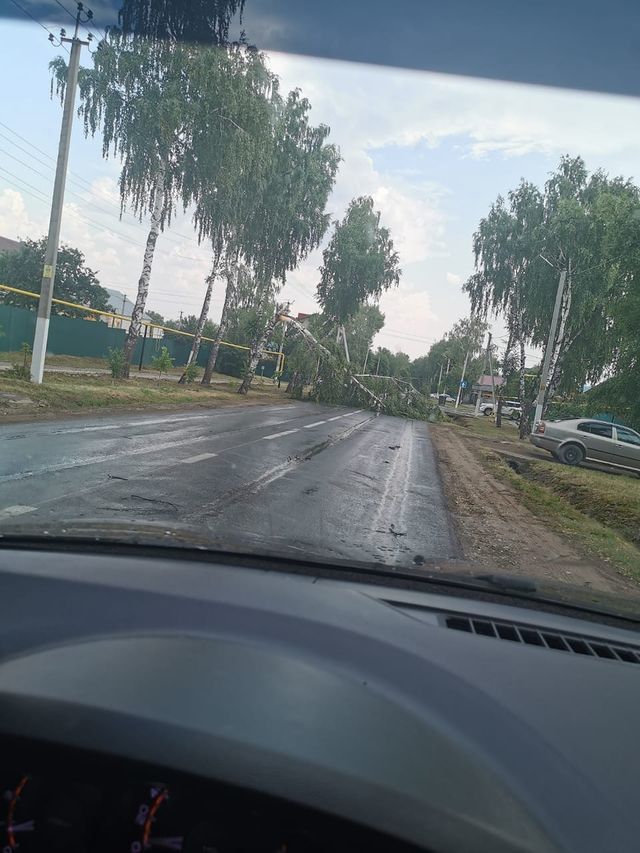 Оборванные электропровода, сорванные крыши, поваленные деревья и покореженные автомобили: над Мамадышем прошелся ураган