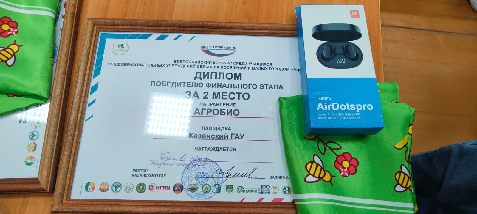 Мамадышская школьница стала призером Всероссийского конкурса