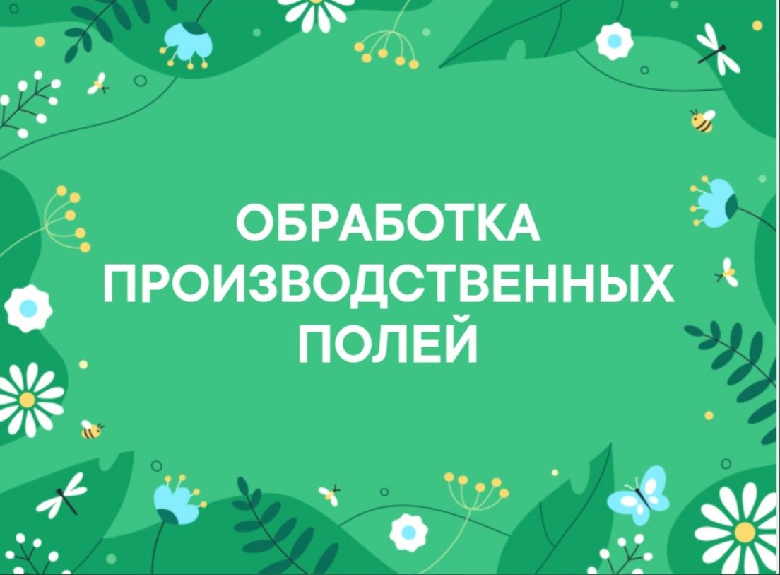 В Мамадышском районе проводится обработка полей