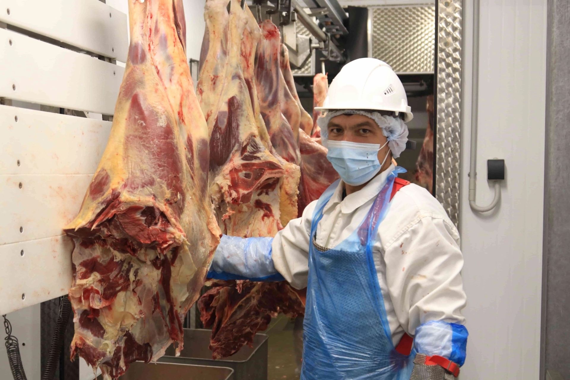 Мамадышский район произвел более 100 тысяч центнеров мяса