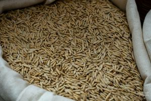В Татарстане проведут государственный мониторинг качества зерна