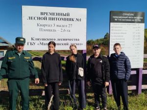 Юные лесоводы из Мамадыша побывали с экскурсией в Кляушском лесничестве