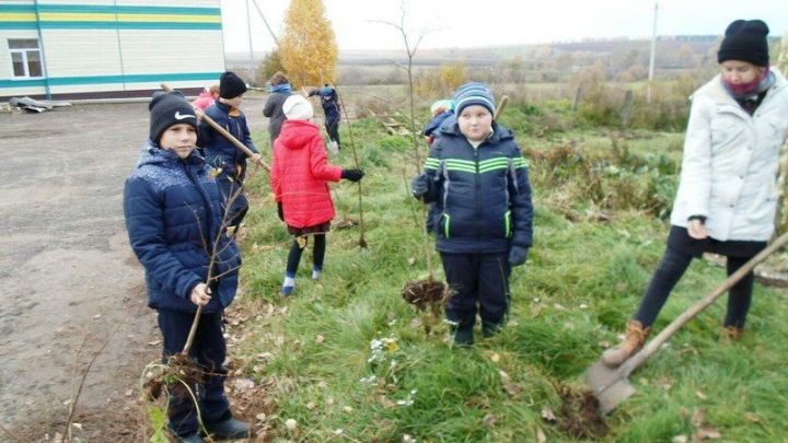 Жители Тавельского сельского поселения присоединились к акции «День посадки леса»