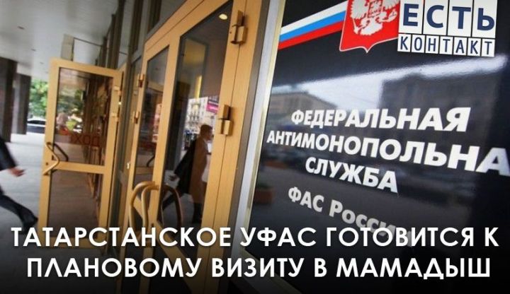 Татарстанское УФАС готовится к плановому визиту в Мамадыш
