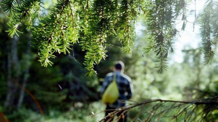 В Мамадышском районе спасатели нашли потерявшегося в лесу мужчину