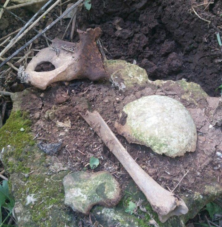 В Мамадыше во время субботника обнаружили человеческие останки