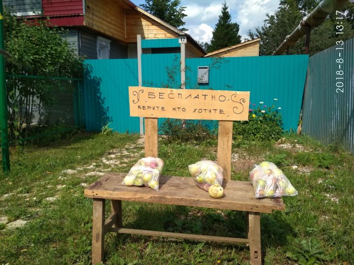 В Мамадыше появилась скамейка с бесплатными яблоками