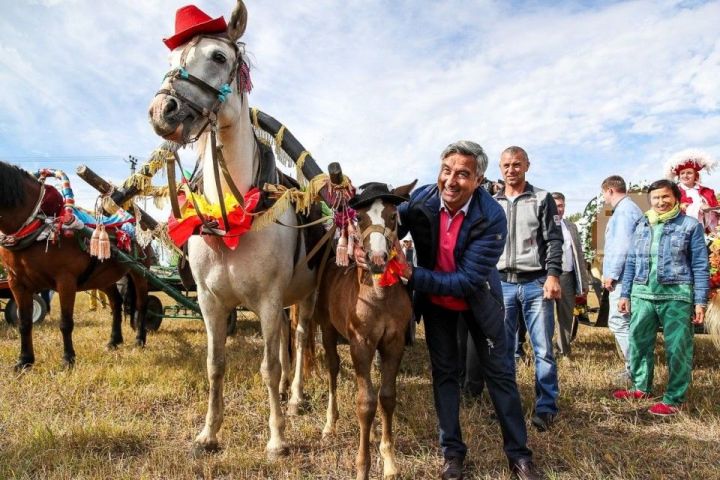 «У татарских лошадей характер, как у самого народа»: чем запомнился День коня – 2018