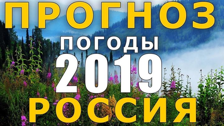 Каким будет лето 2019 года в России
