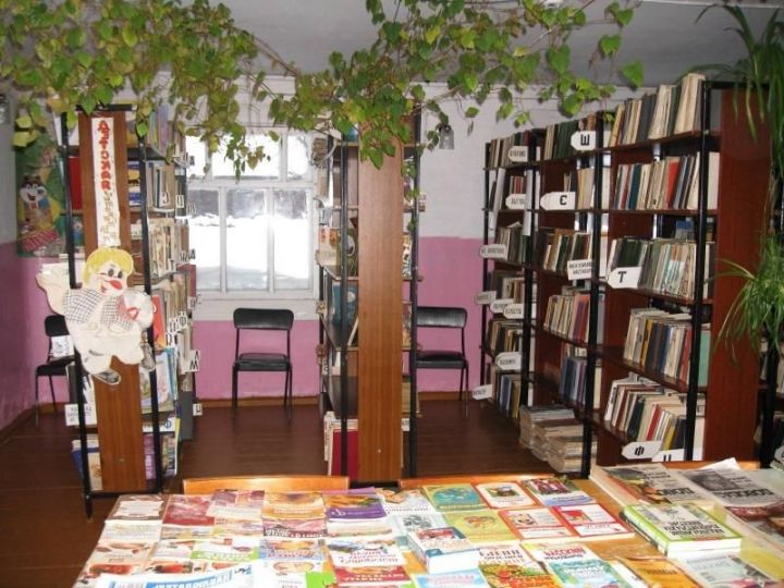 Мамадышские библиотекари отмечают профессиональный праздник
