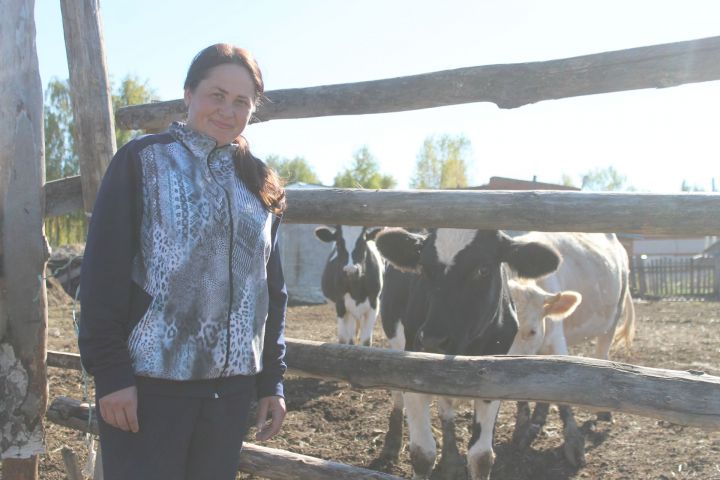 Корову в обмен на запчасти: с чего начинается сельский бизнес