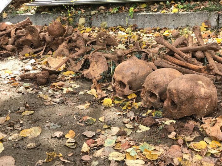 В центре Мамадыша найдены человеческие черепа в количестве 6 штук