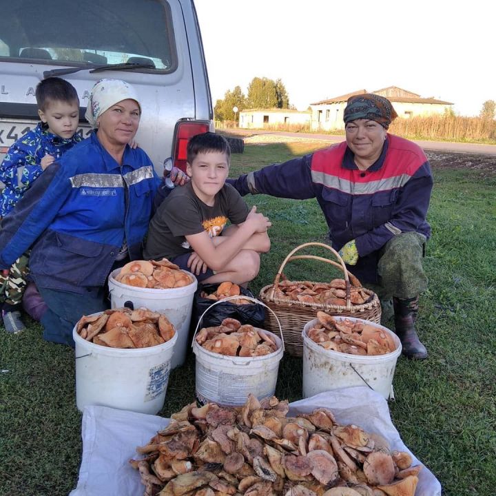 Жительница Мамадышского района намариновала грибов на Турцию