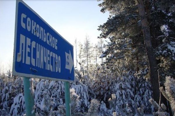 Факты и даты: история села Соколки Мамадышского района