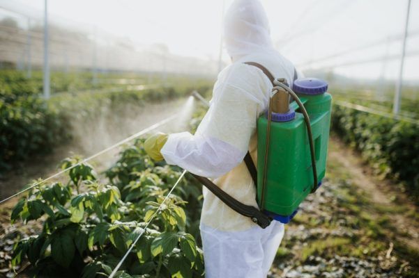 Россельхозцентр рекомендует проверять пестициды на наличие действующего вещества