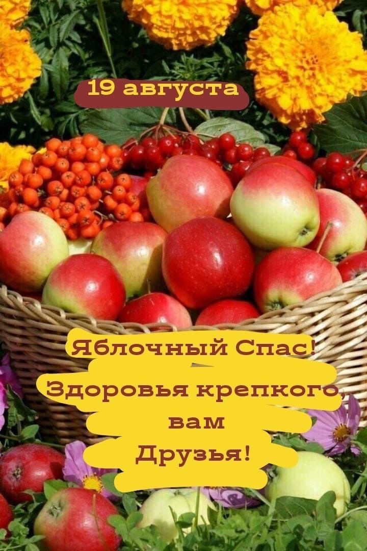 Файдалы киңәшләрне сынап кара