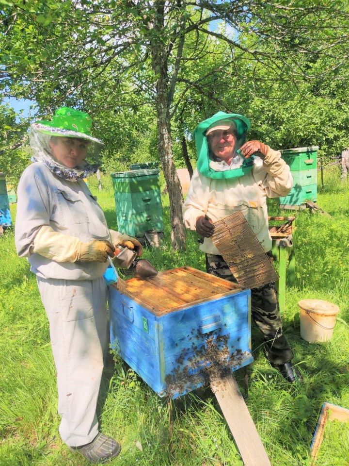 В Мамадыше предложили создать кооператив пчеловодов