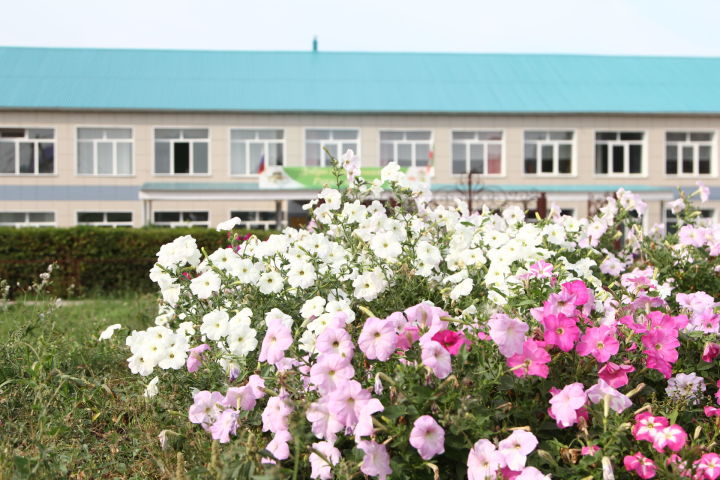 На пришкольном участке в Мамадышском районе вырастили 10 тысяч цветов