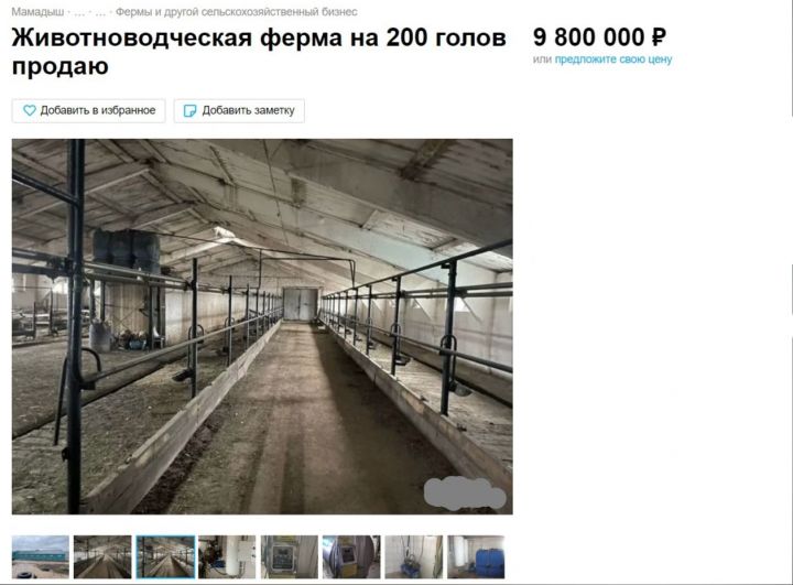 В Мамадыше продают животноводческую ферму за 9,8 миллионов рублей