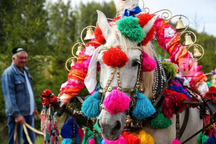 В Татарстане состоится День коня