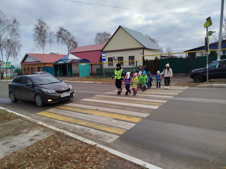 В Мамадыше стартует оперативно-профилактическое мероприятие «Пешеход»