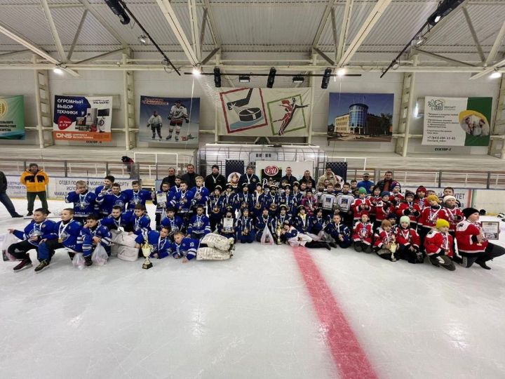 В городе Мамадыш состоялся турнир по хоккею на призы ООО «РМ АГРО»