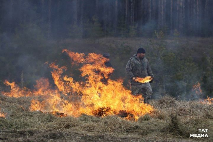 Татарстанцам напомнили о запрете на сжигание сухой травы и мусора с 22 апреля по 12 мая