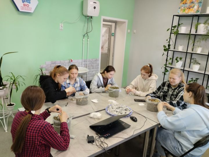 Воспитанники центра детского творчества «Квантум» фасуют пакетики чая для зоны СВО