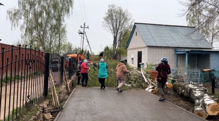 На кладбищах города Мамадыш провели субботники