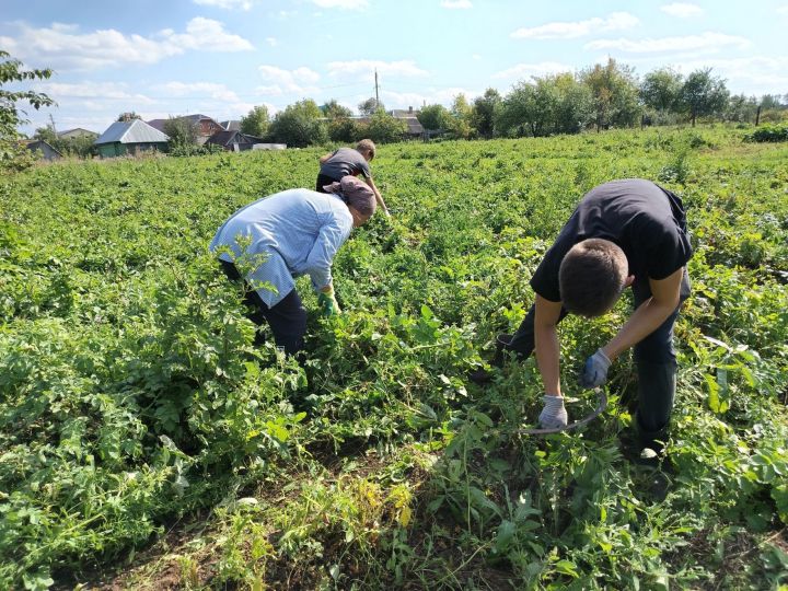 Активисты Движения Первых Таканышской школы продолжают волонтерскую деятельность