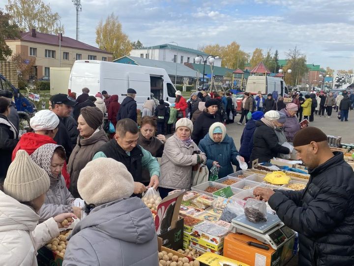 Сельскохозяйственная ярмарка в Мамадыше: праздник урожая и изобилия