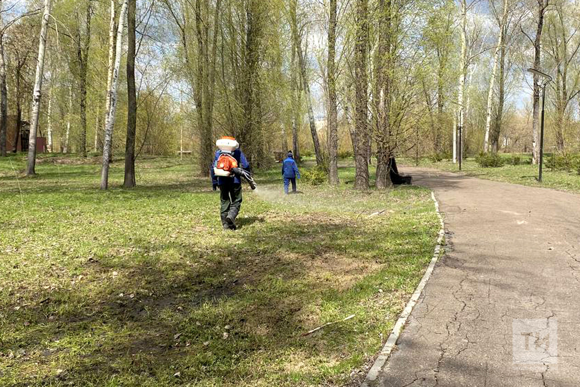 Сезон клещевой активности еще не завершен