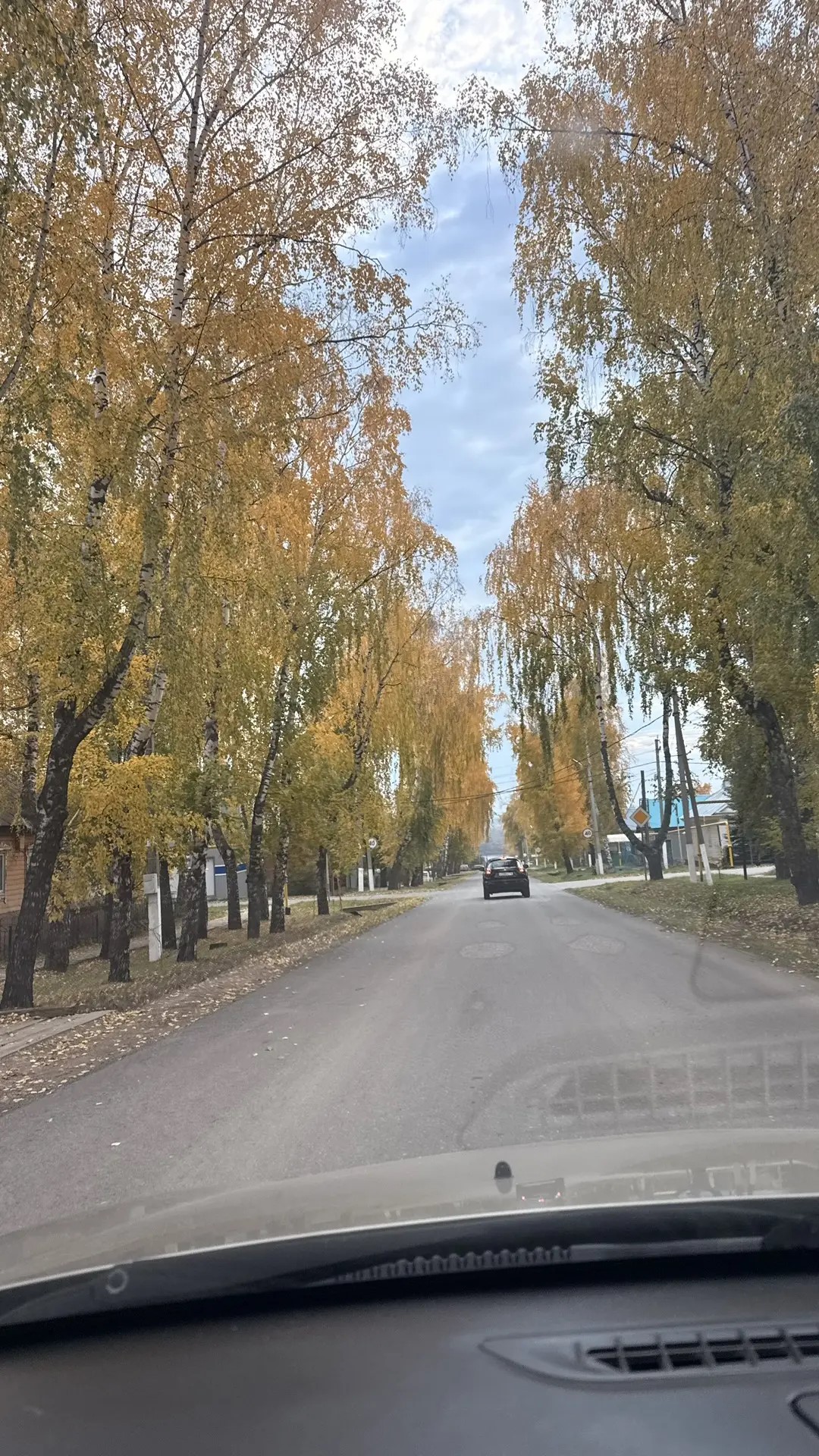 устойчивый снежный покров сформируется только в декабре.