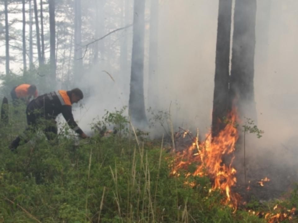 Перечень населенных пунктов подверженных угрозе лесных пожаров. Лесной пожар на Байкале в Иркутской области Лесной. Лесные поджигатели. Пожары в Туве. Лесной пожар, перешедший на населенный пункт Иркутской области.