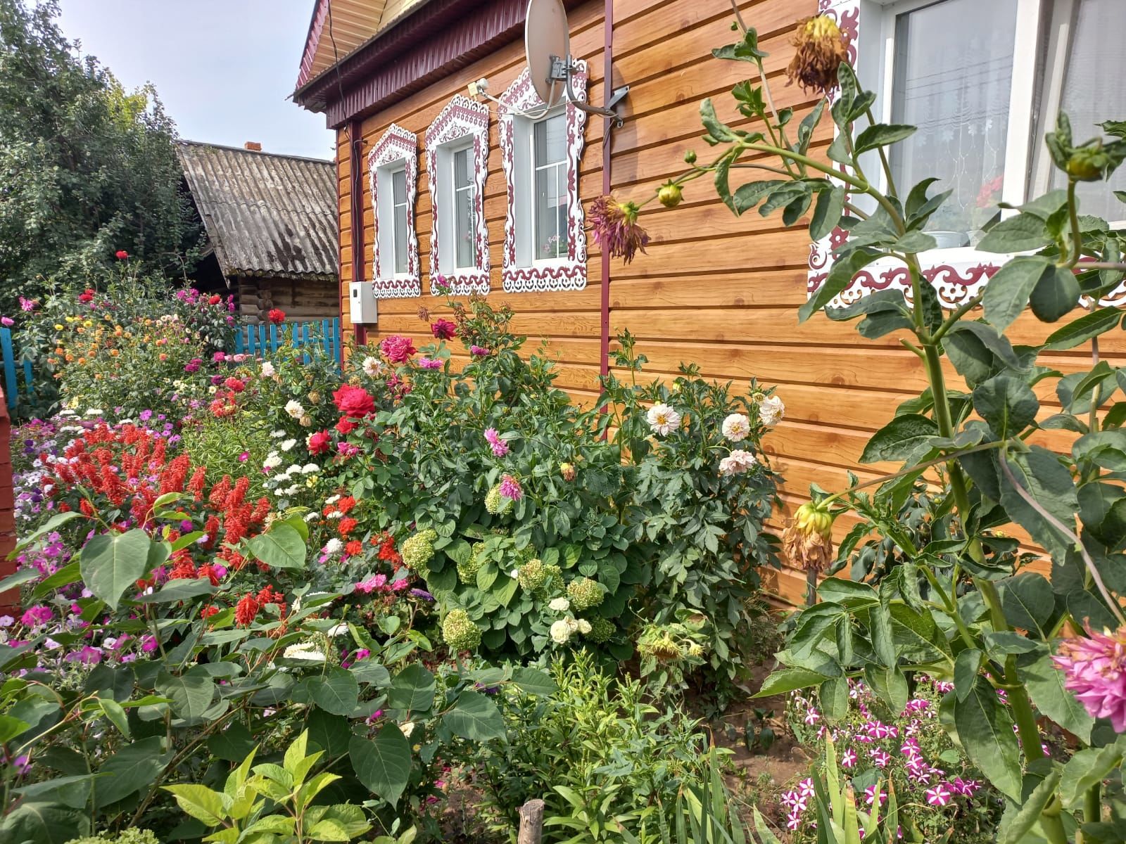 Было село, стало цветочное царство: жители Нового Мочалкино "утопают" в цветах