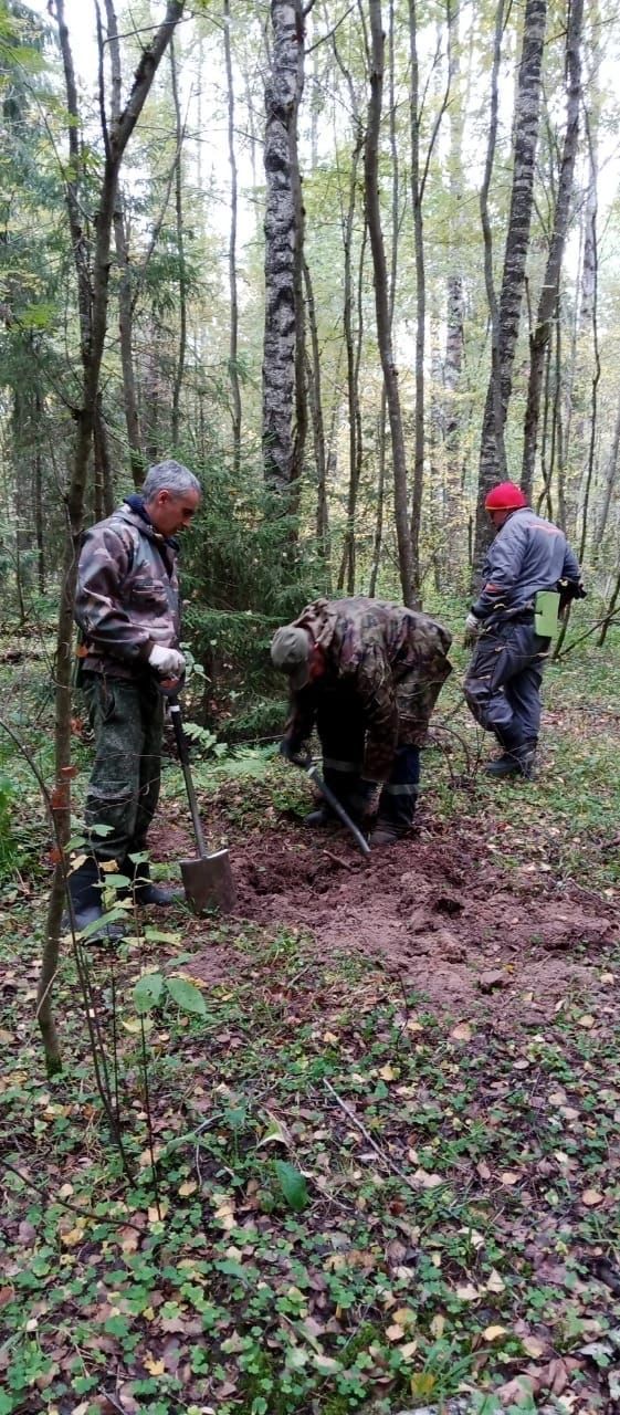 В Мамадышском районе перезахоронили останки журналиста, без вести пропавшего на фронте в 1942 году