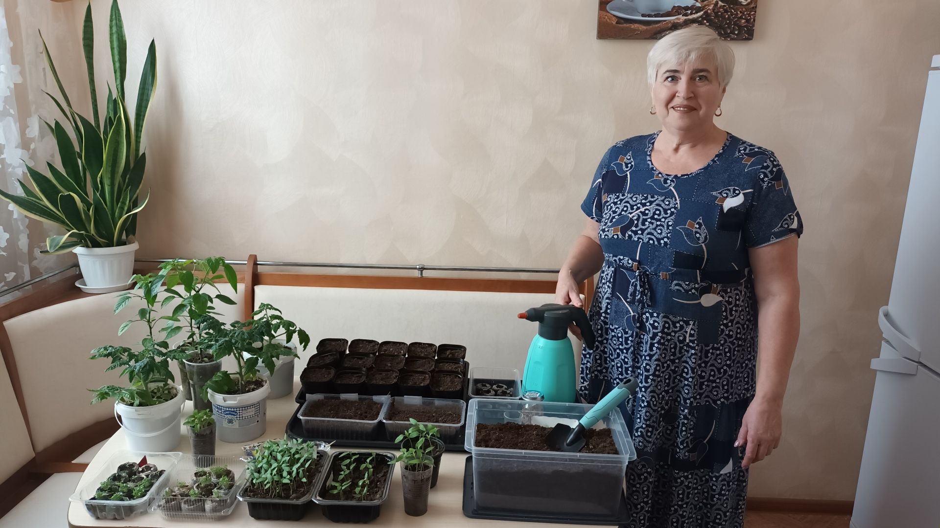 Посажу 1000 кустов томатов и 150 перцев: жительница Мамадыша раскрыла секреты богатого урожая