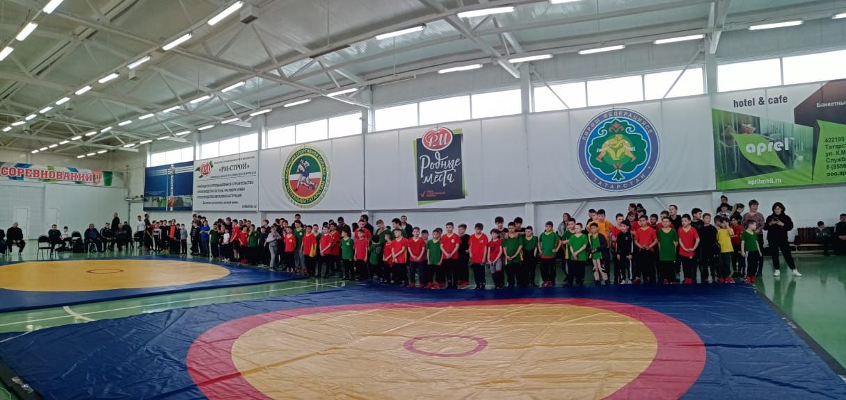 В Мамадышском районе прошли открытые соревнования по корэш на призы ООО «РМ Агро»