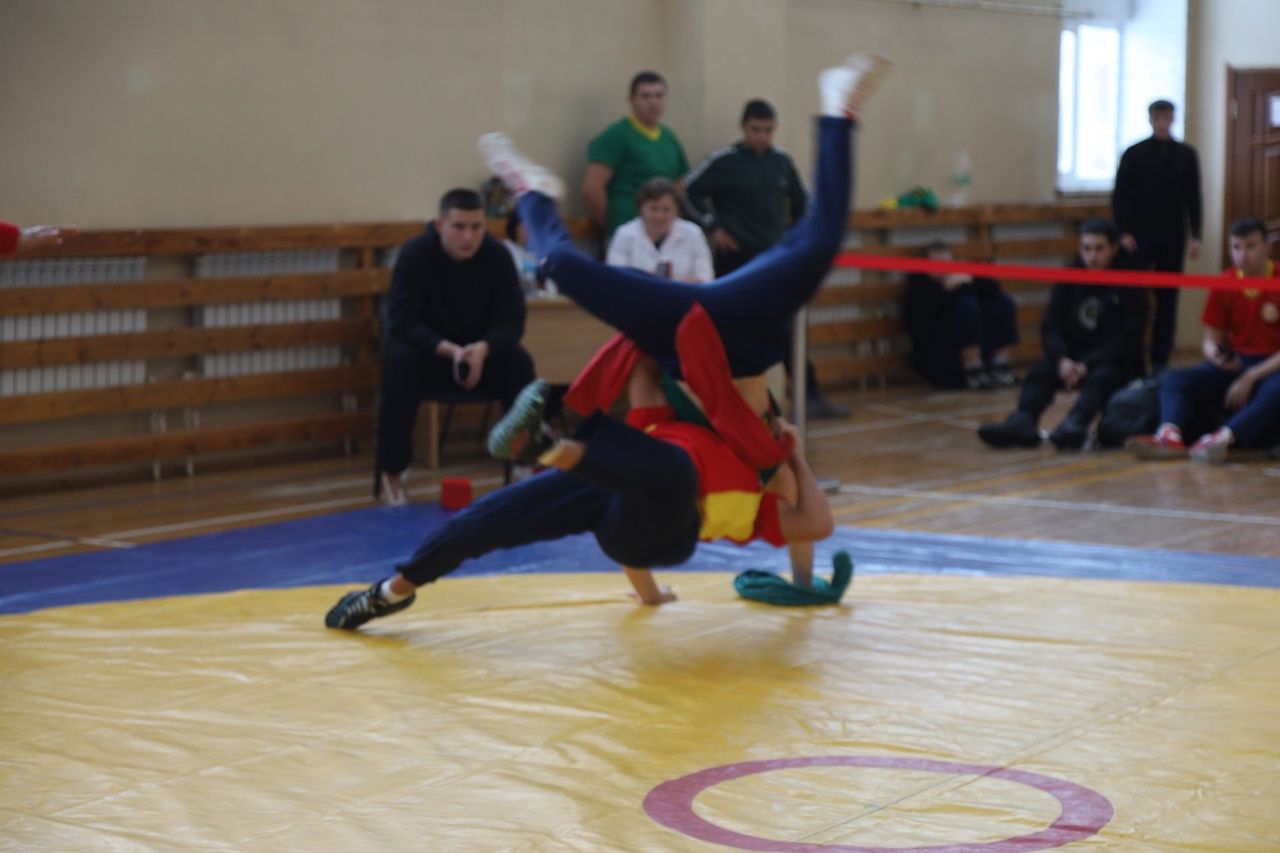 В Мамадыше состоялись соревнования по национальной борьбе