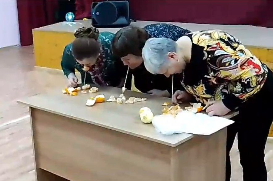 Программа «Встретим дружно Новый год!» собрала старшее поколение Мамадыша