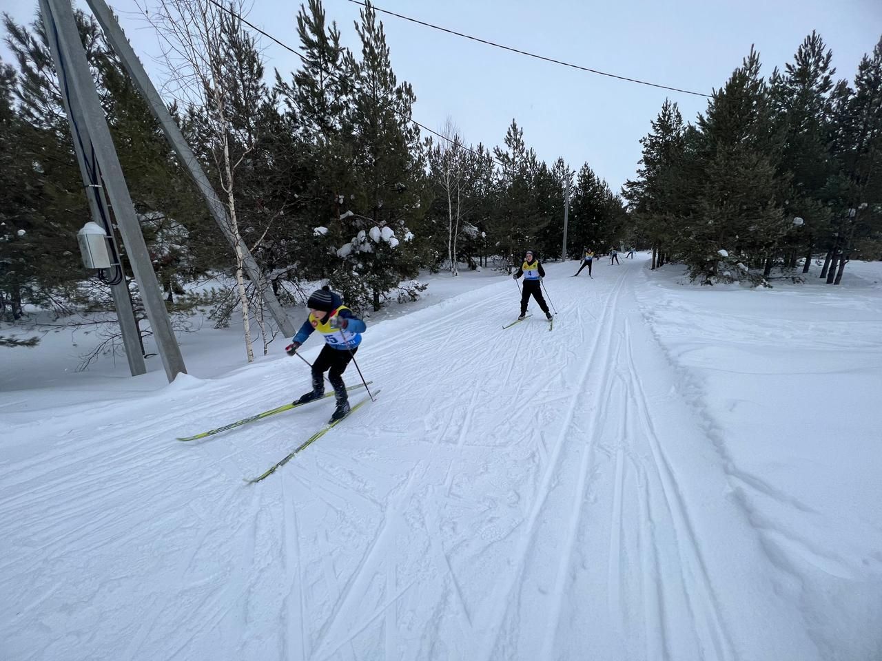 В Мамадыше состоялись соревнования по лыжным гонкам на призы начальника отдела молодежи и спорту района