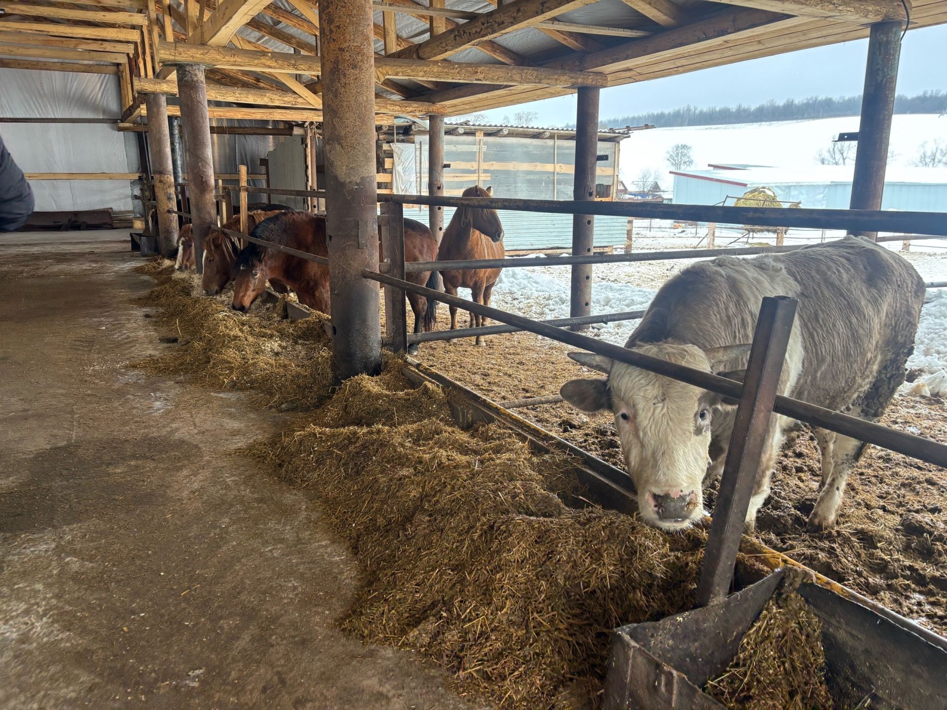 В Дюсьметьевском сельском поселении состоялся сход граждан