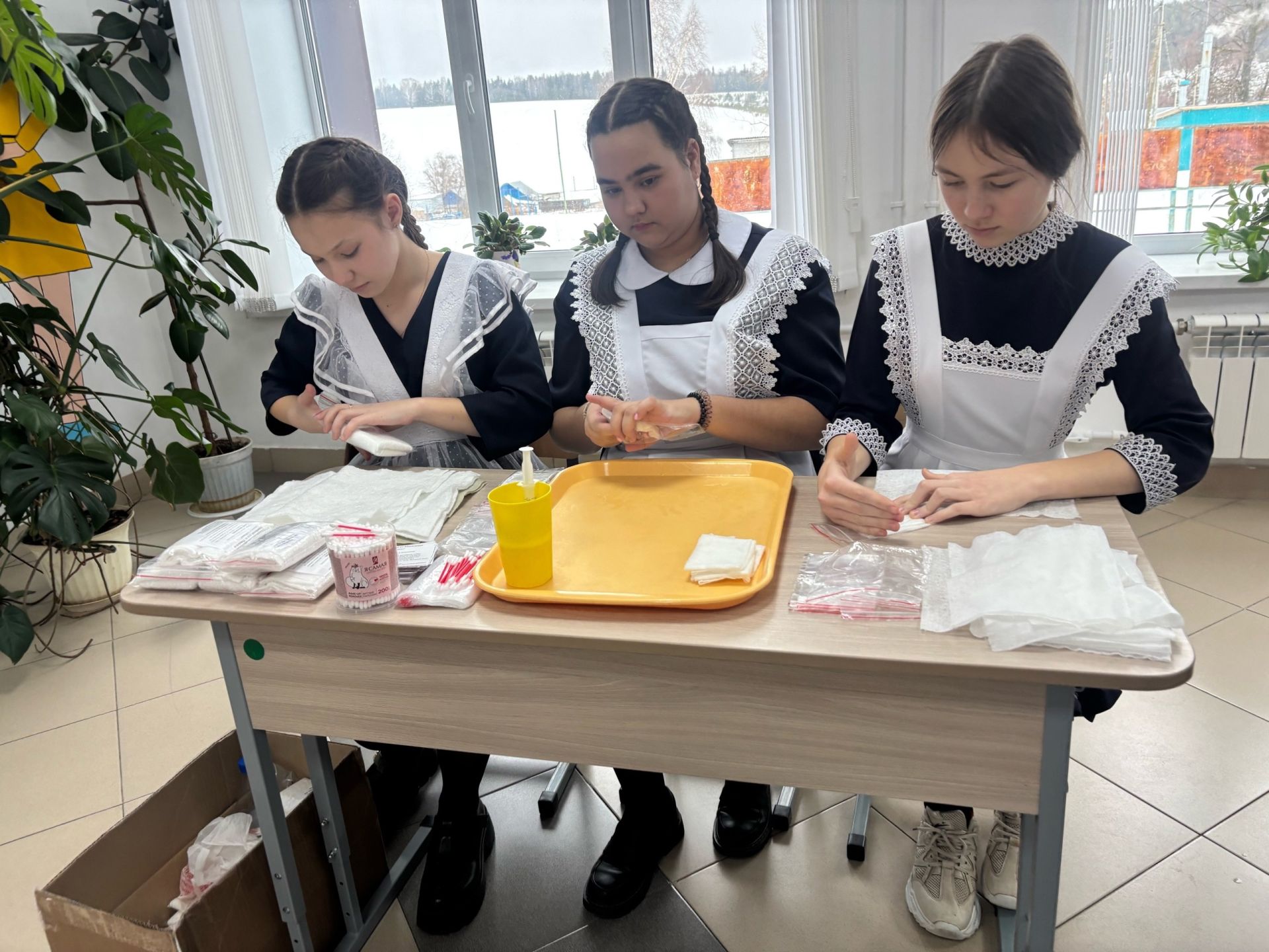 В Дюсьметьевском сельском поселении состоялся сход граждан