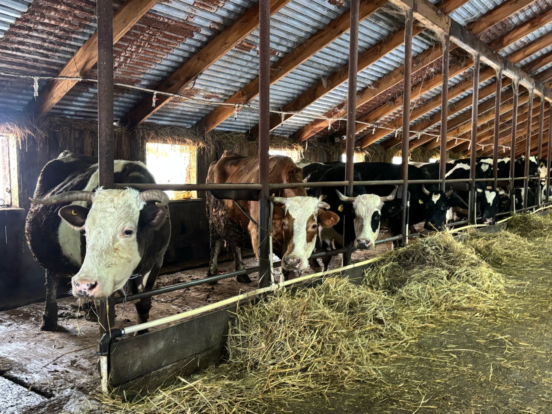 В Дюсьметьевском сельском поселении состоялся сход граждан