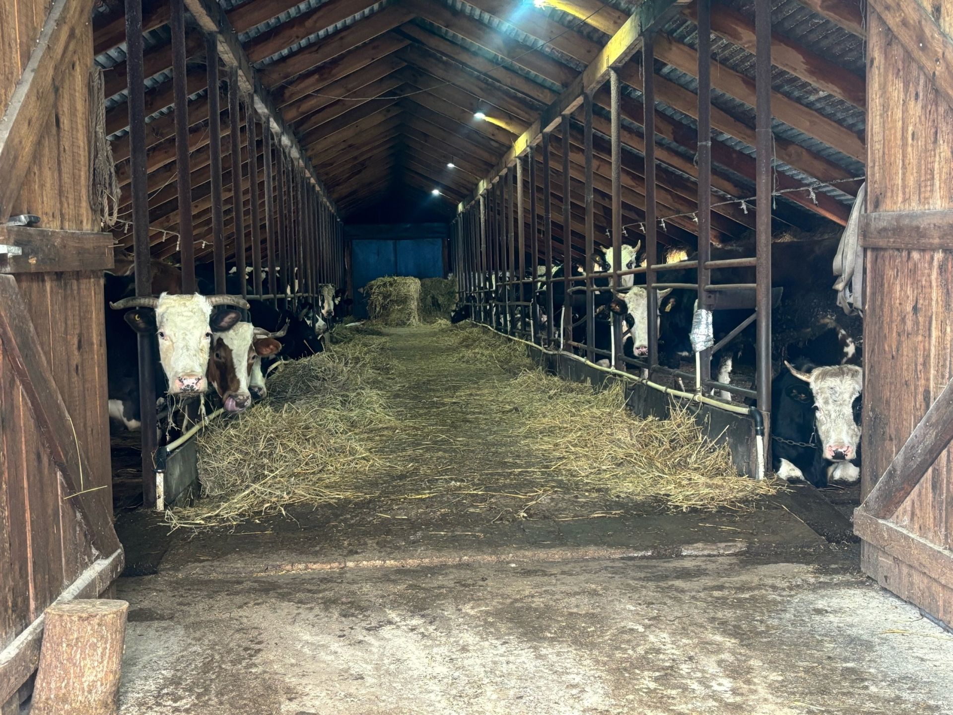 В Дюсьметьевском сельском поселении состоялся сход граждан