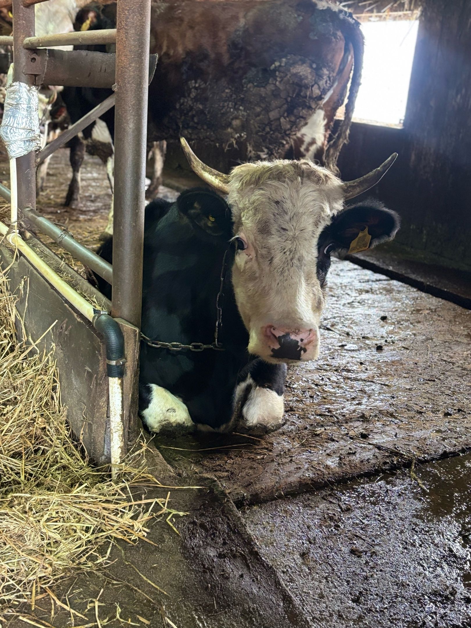 В Дюсьметьевском сельском поселении состоялся сход граждан