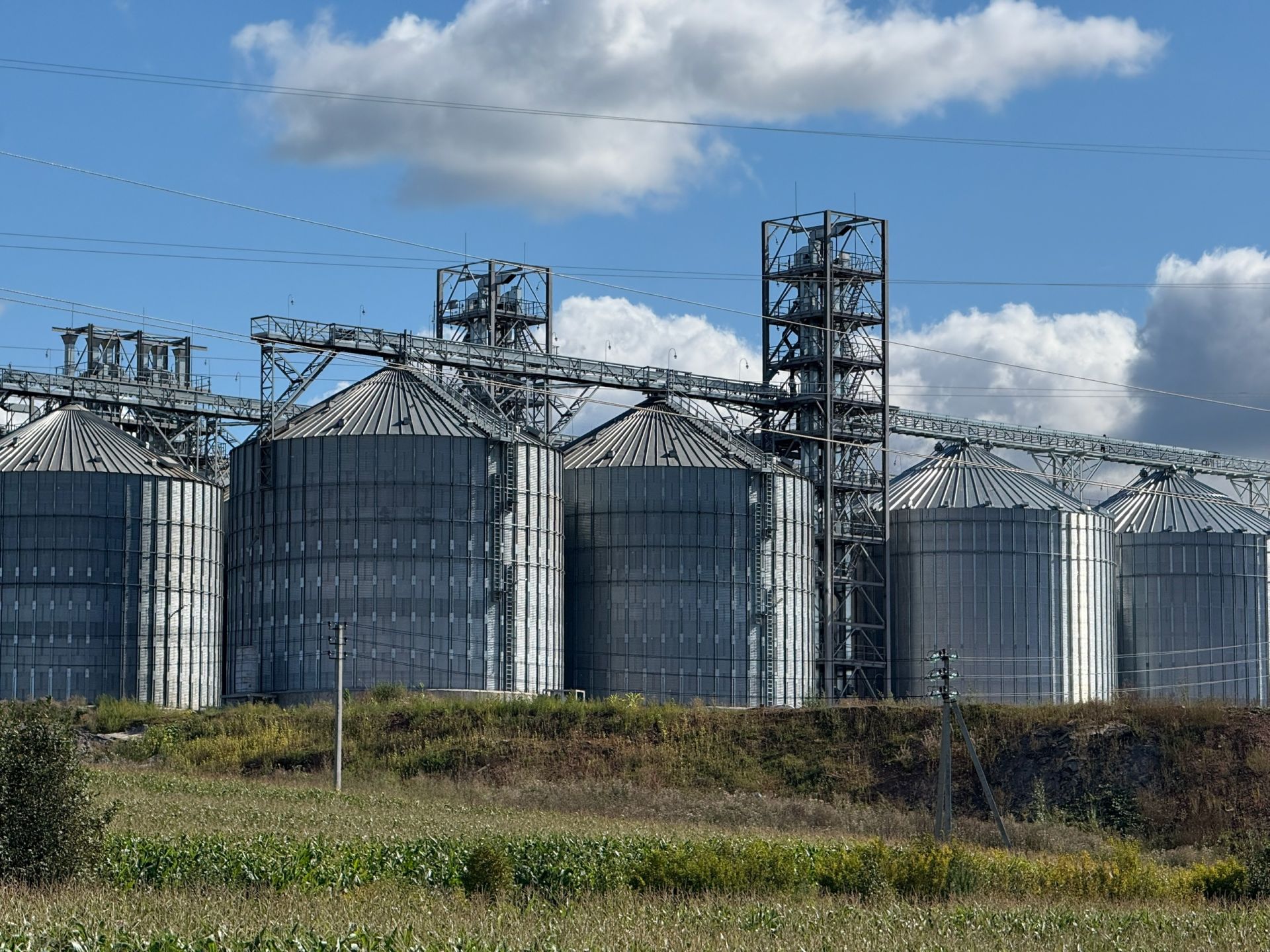 Ильдар Ягудин: «Наша задача — сохранить каждое зернышко»