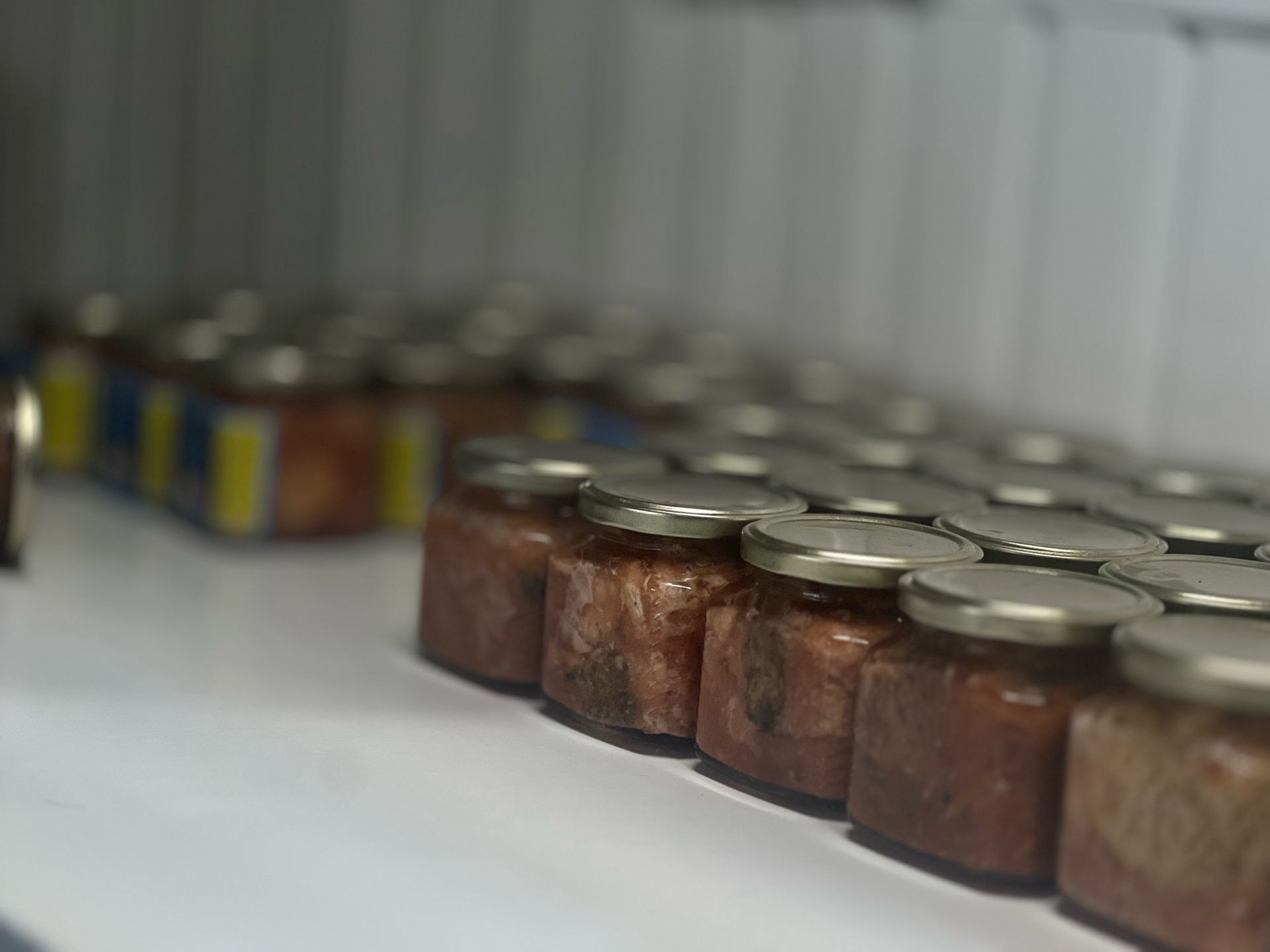 В цехах «Рыбзавода Мамадышский» кипит работа