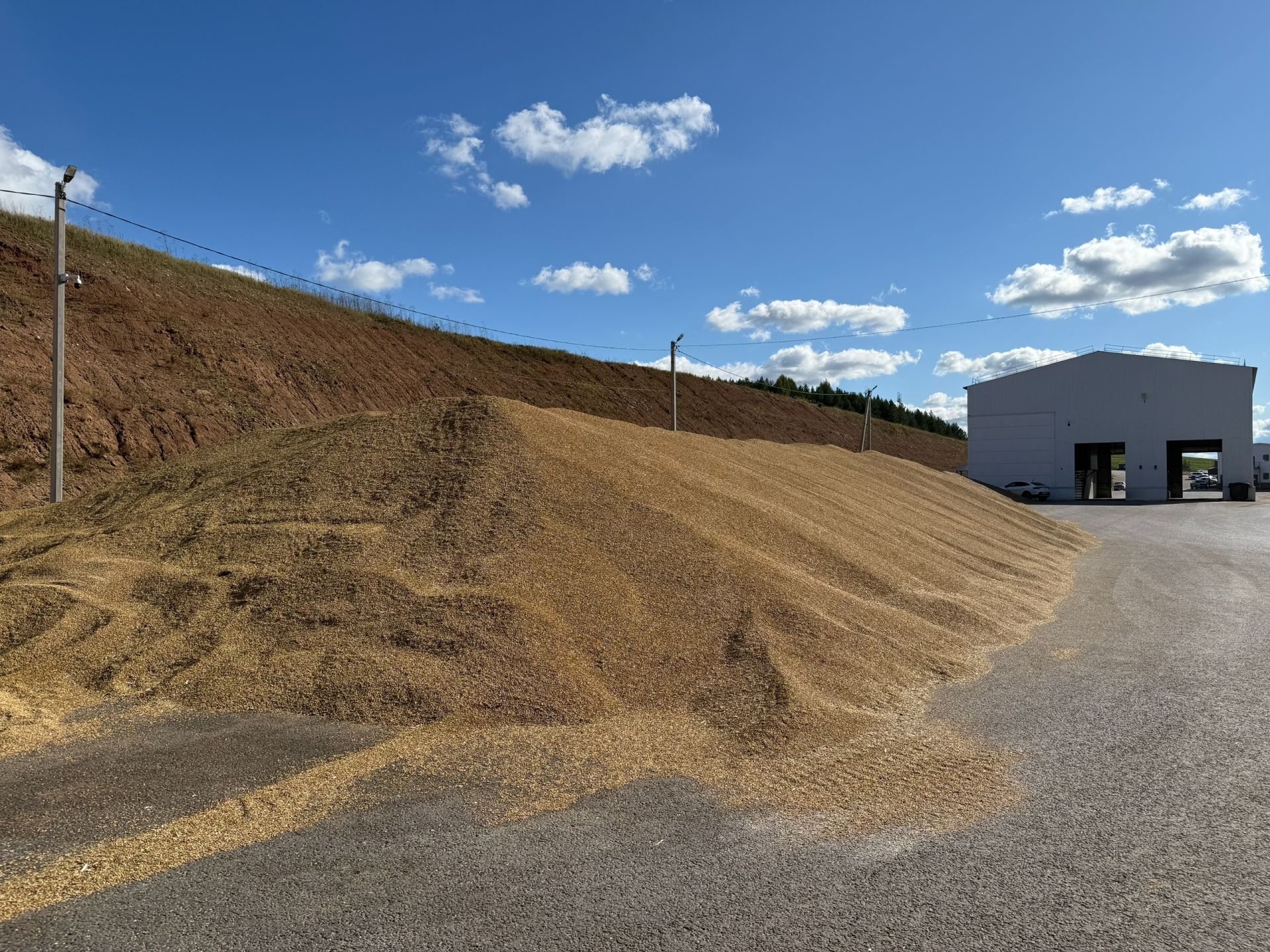 Ильдар Ягудин: «Наша задача — сохранить каждое зернышко»